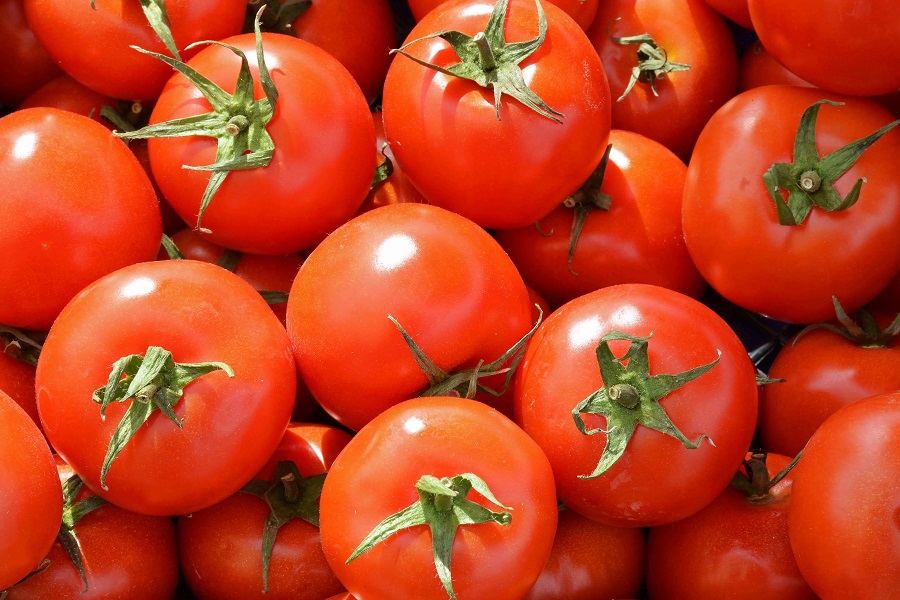 what-vegetables-to-eat-to-lose-belly-fat-gtehy